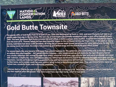 Gold Butte Townsite