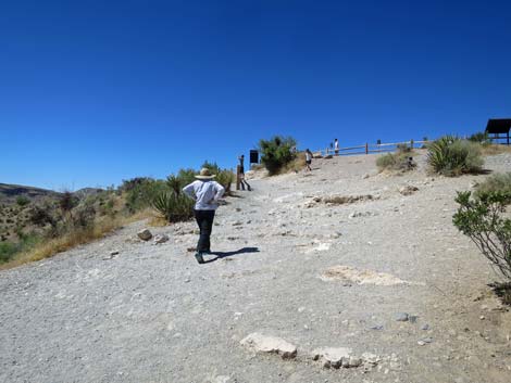 Calico 1 Trail
