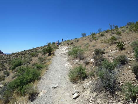 calico 2 trail
