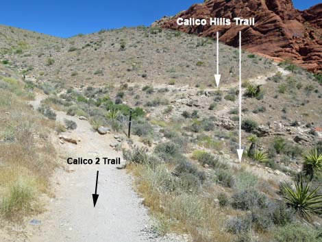Calico 2 Trail