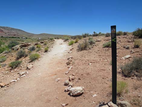 Calico Basin Trail