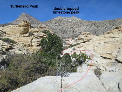 Calico Hills Loop Trail
