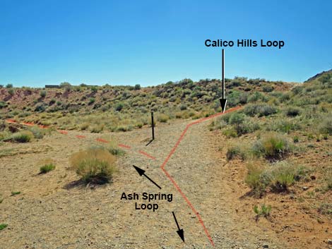 Calico Hills Loop