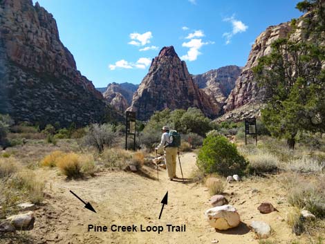 Pine Creek Loop Trail