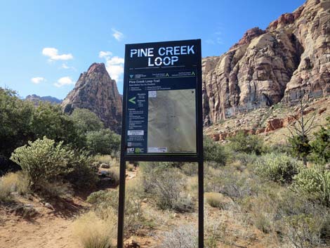 Pine Creek Loop Trail