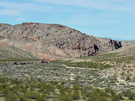 Lime Canyon Wilderness Area