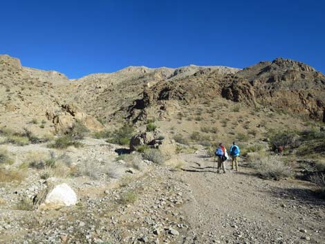 Lime Canyon Wilderness Area