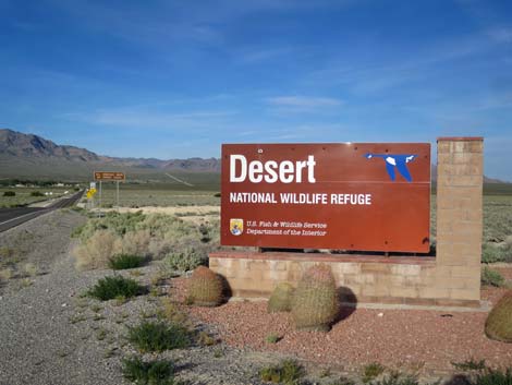 Desert National Wildlife Refuge