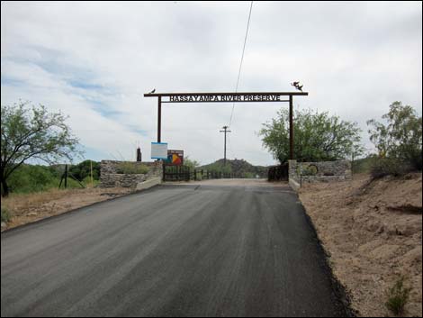 Hassayampa River Preserve