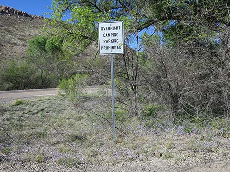 Patagonia Roadside Rest Area