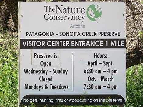 Patagonia-Sonoita Creek Preserve