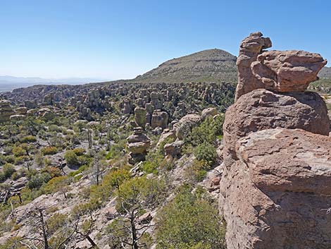 Chiricahua National Monument