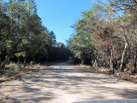 South Fork Road