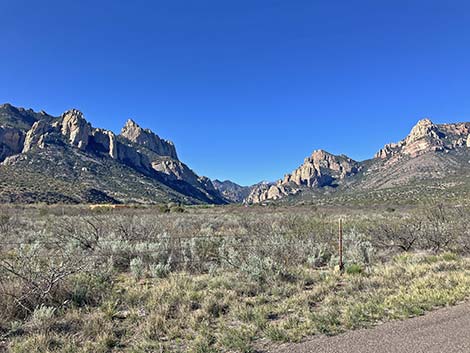 Cave Creek Road