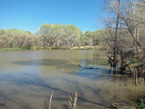 San Pedro Riparian NCA