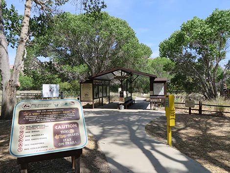 Big Morongo Canyon Preserve