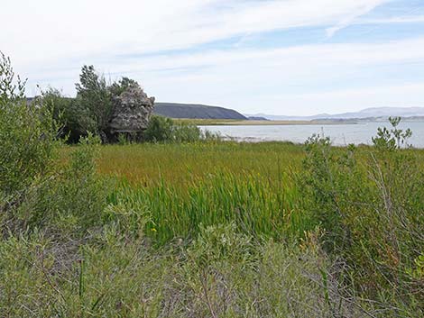 Boardwalk Trail