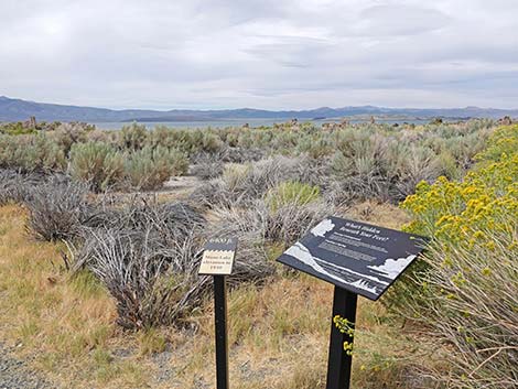 South Tufa Towers Trail