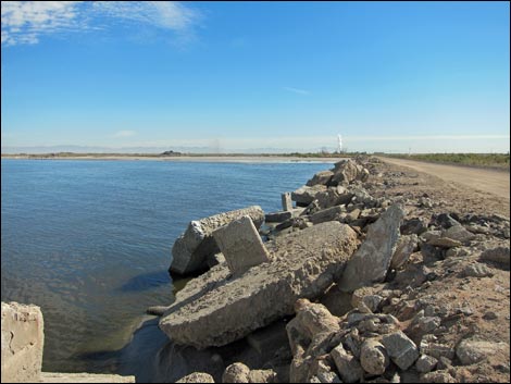 Salton Sea