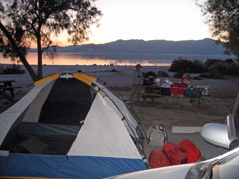 Birding the Salton Sea