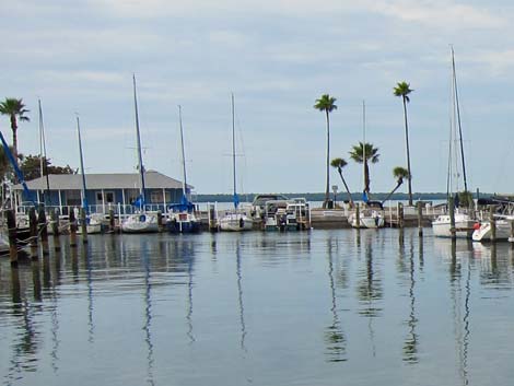 Dunedin Marina