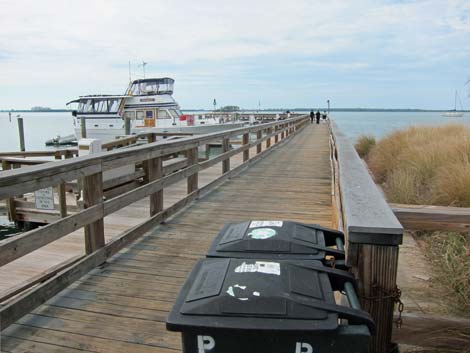 Dunedin Marina