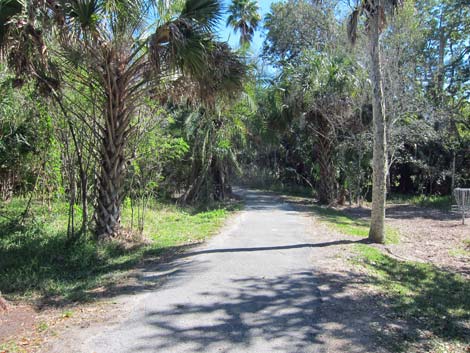 Hammock Park