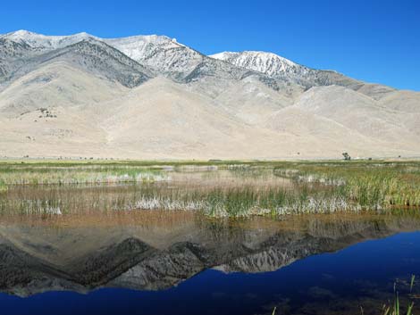 Ruby Marsh National Wildlife Refuge