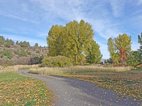 Malhuer NWR, Page Springs Camp