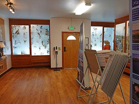 Malheur National Wildlife Refuge