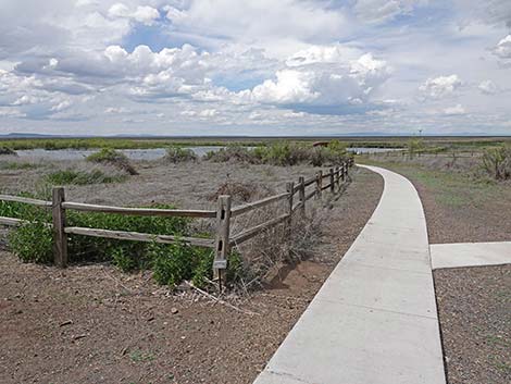 Malheur NWR