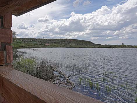 Malheur NWR