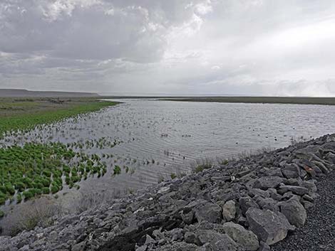 Malheur NWR, Narrows Bridge