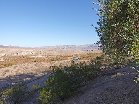 Las Vegas Bay Campground