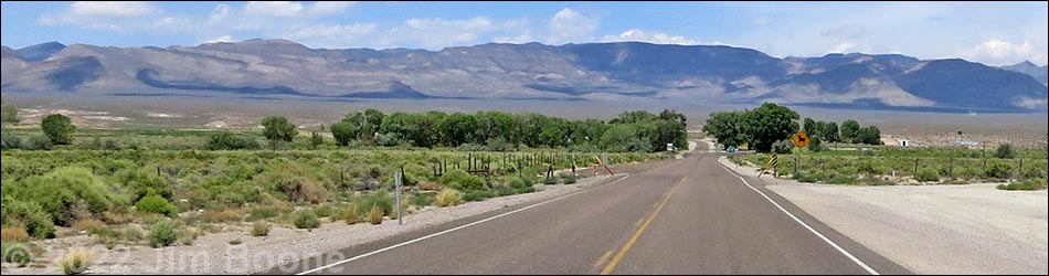 Birding Around Crystal Springs