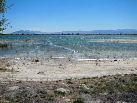 Crystal Reservoir