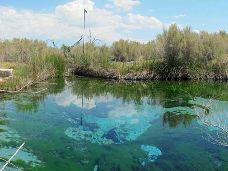 Fairbanks Spring