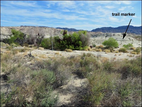 Aqua Birding Trail