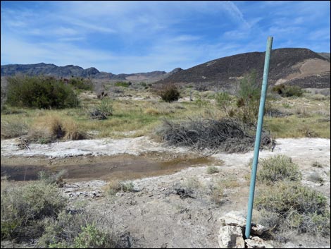 Aqua Birding Trail