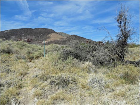 Aqua Birding Trail