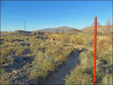 Shoshone Red Birding Trail