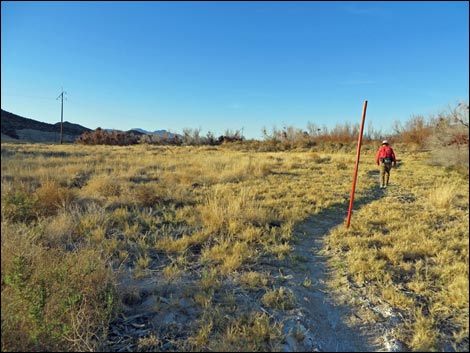 Shoshone Red Birding Trail