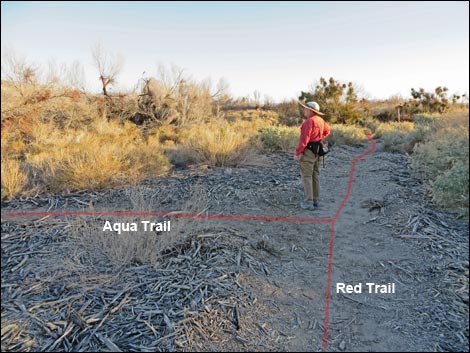  Shoshone Aqua Birding Trail