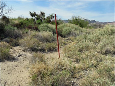 Red Birding Trail