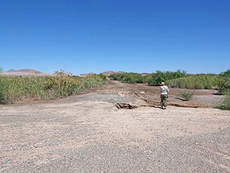 Dragonfly Divide Trail