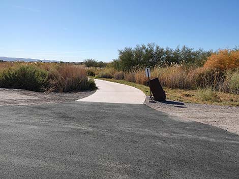 Dragonfly Divide Trail