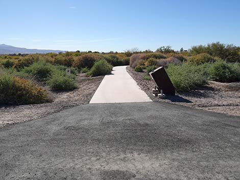 Dragonfly Divide Trail