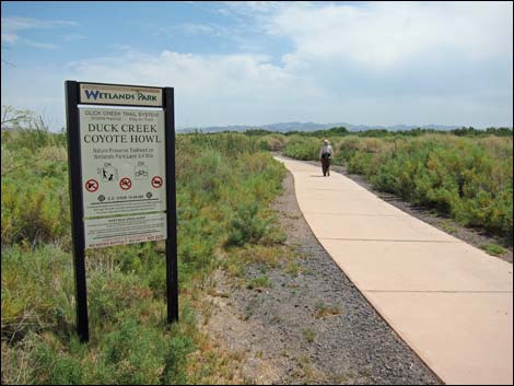 Duck Creek Trails