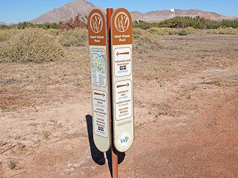 Clark County Wetlands Park