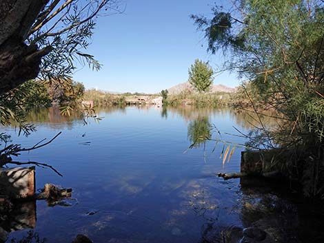 Clark County Wetlands Park